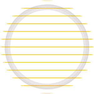 Stripes Round NPC Lunch Paper Plates FSC 23cm 8pk