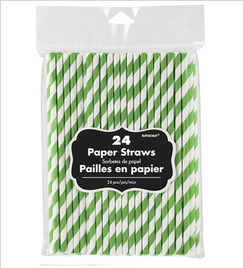 Kiwi Paper Straws 19cm 24pk