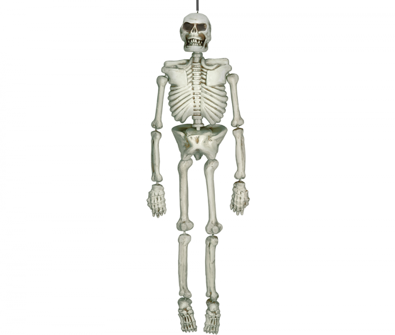 Lifesize Skeleton Plastic - Party Savers