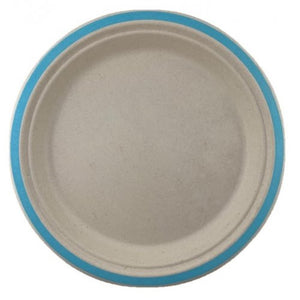 Light Blue Sugarcane Plate 230mm 10pk - Party Savers