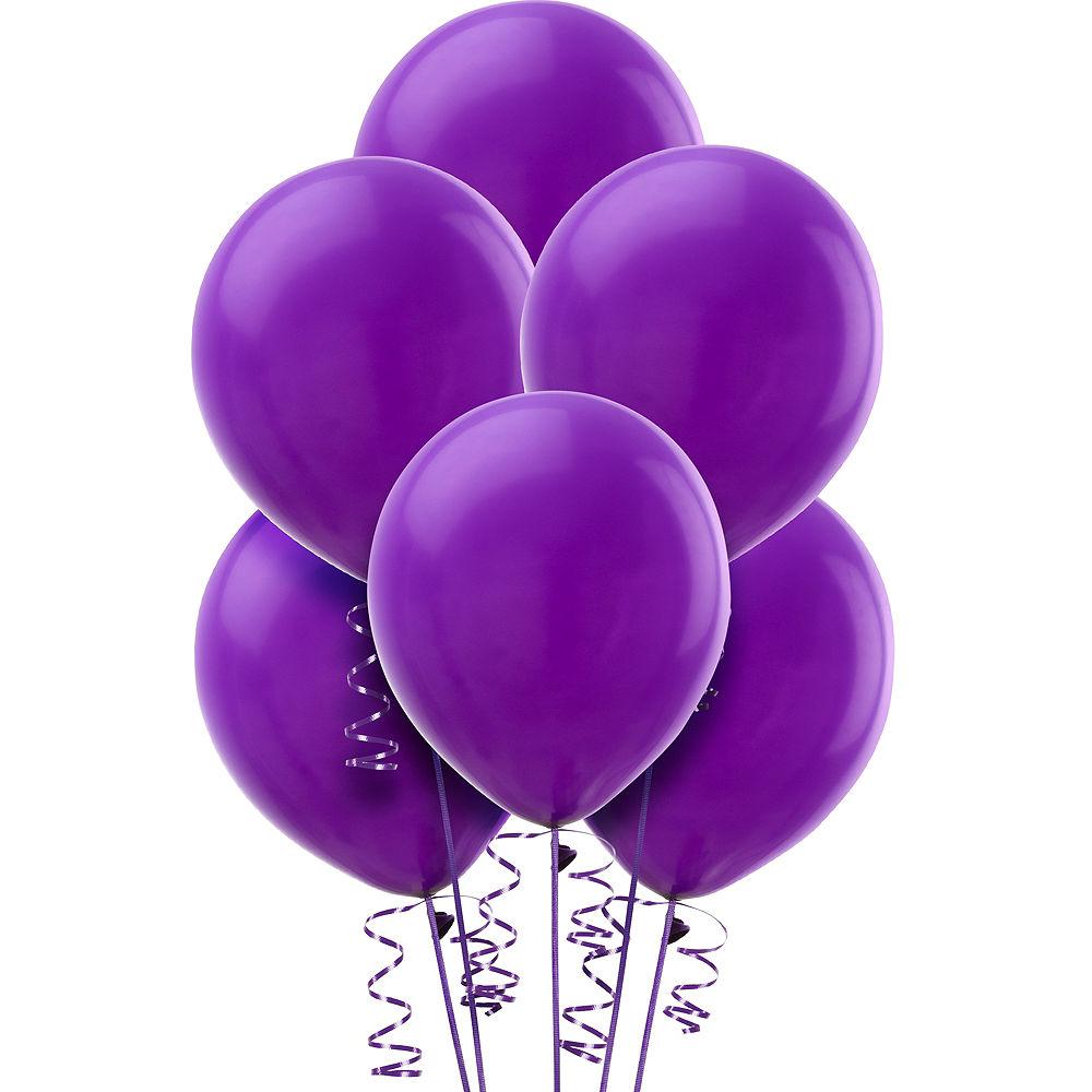 Purple Premium Latex Balloons 30cm 25pk
