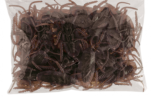 Plastic Cockroaches 36pk - Party Savers