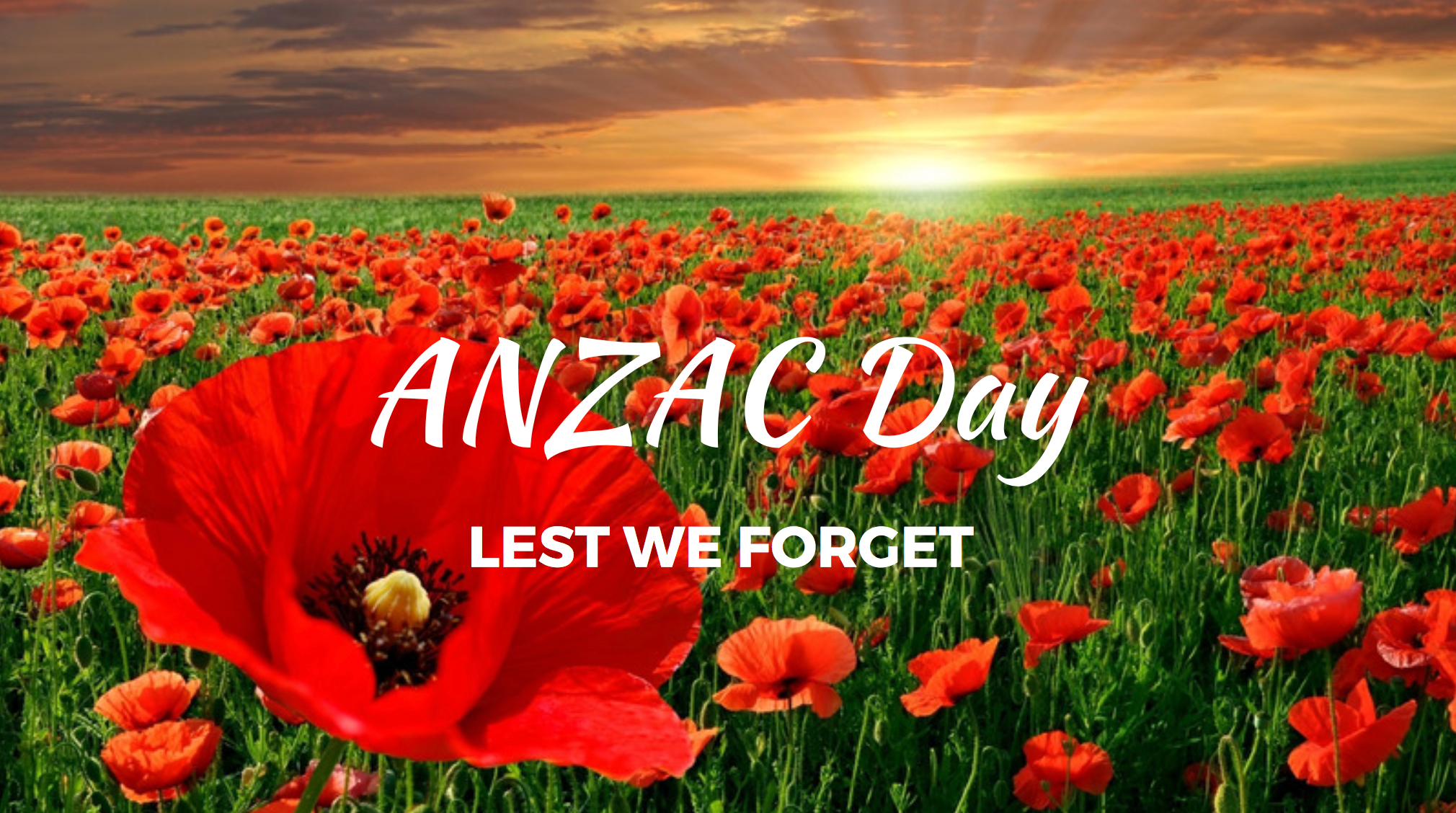 Special Ways To Commemorate Anzac Day