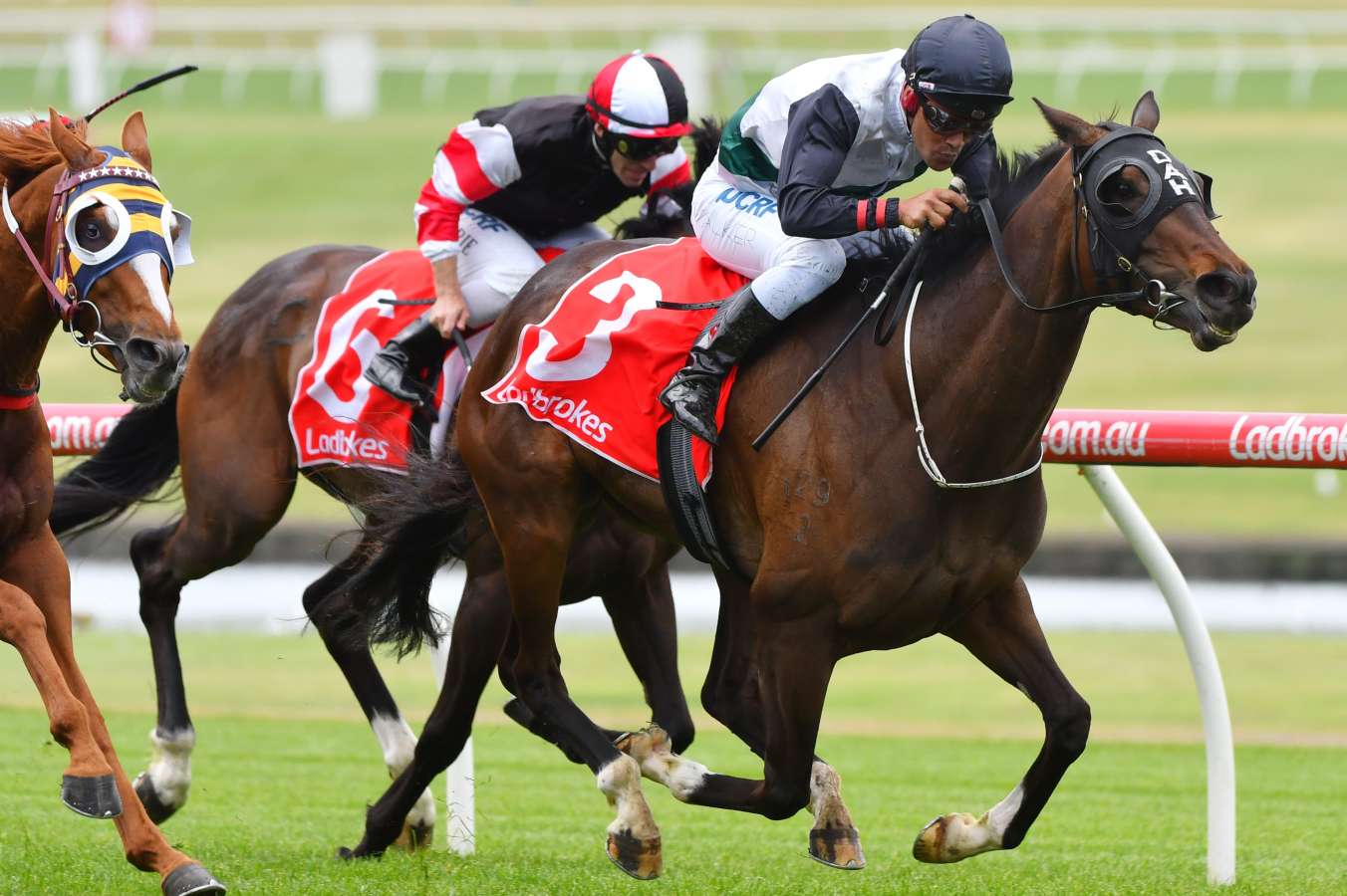 Here's how you can get into the Spirit of the Melbourne Cup