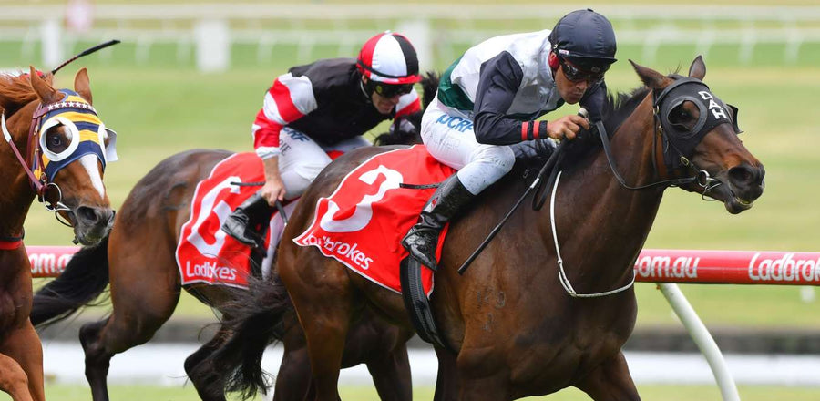 Here's how you can get into the Spirit of the Melbourne Cup