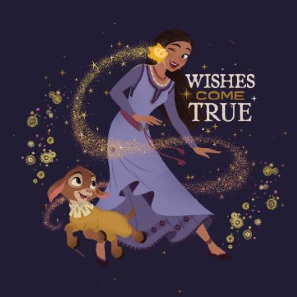 Disney Wish Party Supplies