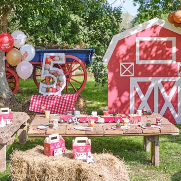 Farm Friends Party Supplies