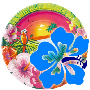 Summer Party Supplies