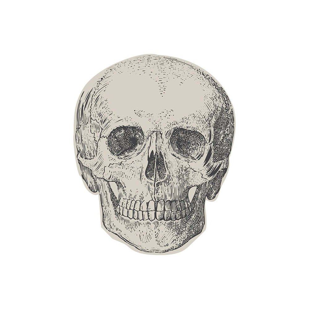 Creepy Chic Skull Paper Napkin 32cm x 32cm 16pk