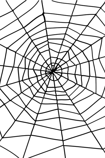Spider & Spiders Web - Party Savers