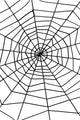 Spider & Spiders Web - Party Savers