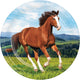 Horse and Pony Dinner Plates Paper 22cm 8pk - Party Savers