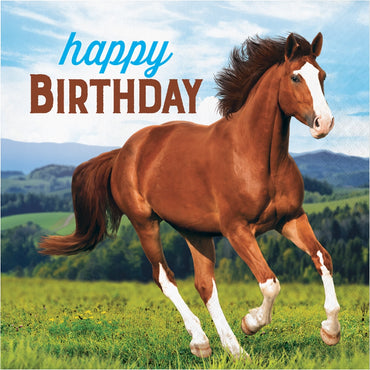 Horse and Pony Lunch Napkins Happy Birthday 16pk - Party Savers