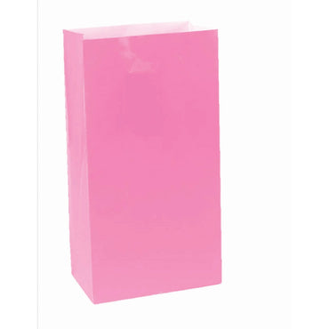 Bright Pink Large Paper Bag 12pk - Party Savers