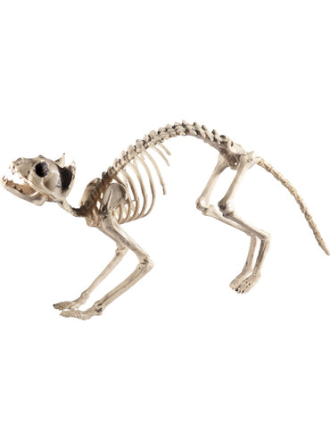 Cat Skeleton Prop - Party Savers