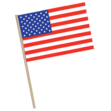 American Flag - Plastic 4in x 6in - Party Savers