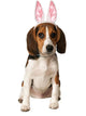 Bunny Ears Pet Accessory - Party Savers