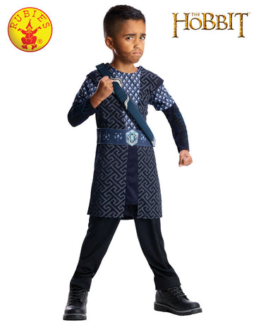 Boys Costume - Thorin - Party Savers