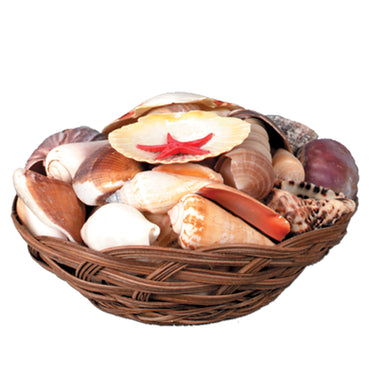 Shell Basket 6.5in. - Party Savers